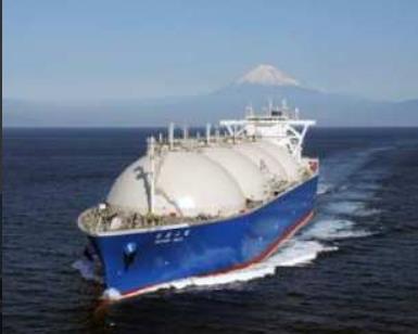 台中廠四期擴建計畫 落實白海豚保育與能源轉型雙贏