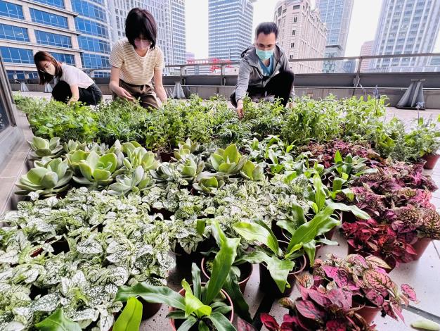 台灣中油422地球日贈樹苗 邀您一起種下永續的種子