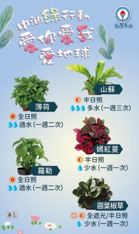 114中油贈樹苗說明小卡_1140213核定