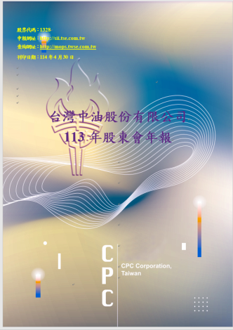 113年度股東會年報