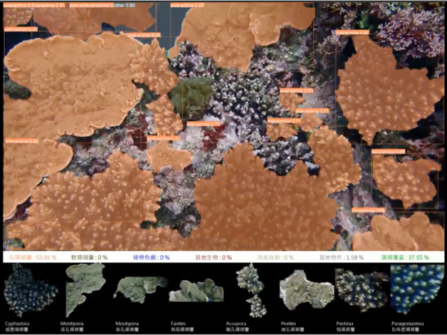 珊瑚物種辨識技術